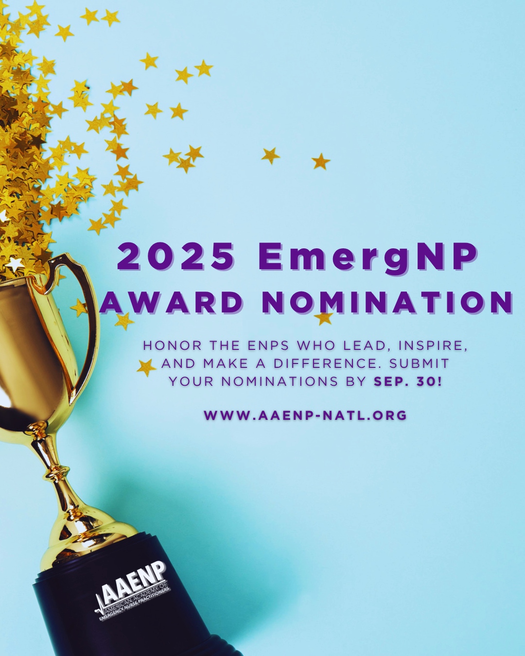 Nominations for AAENP’s annual awards are now officially open and will ...