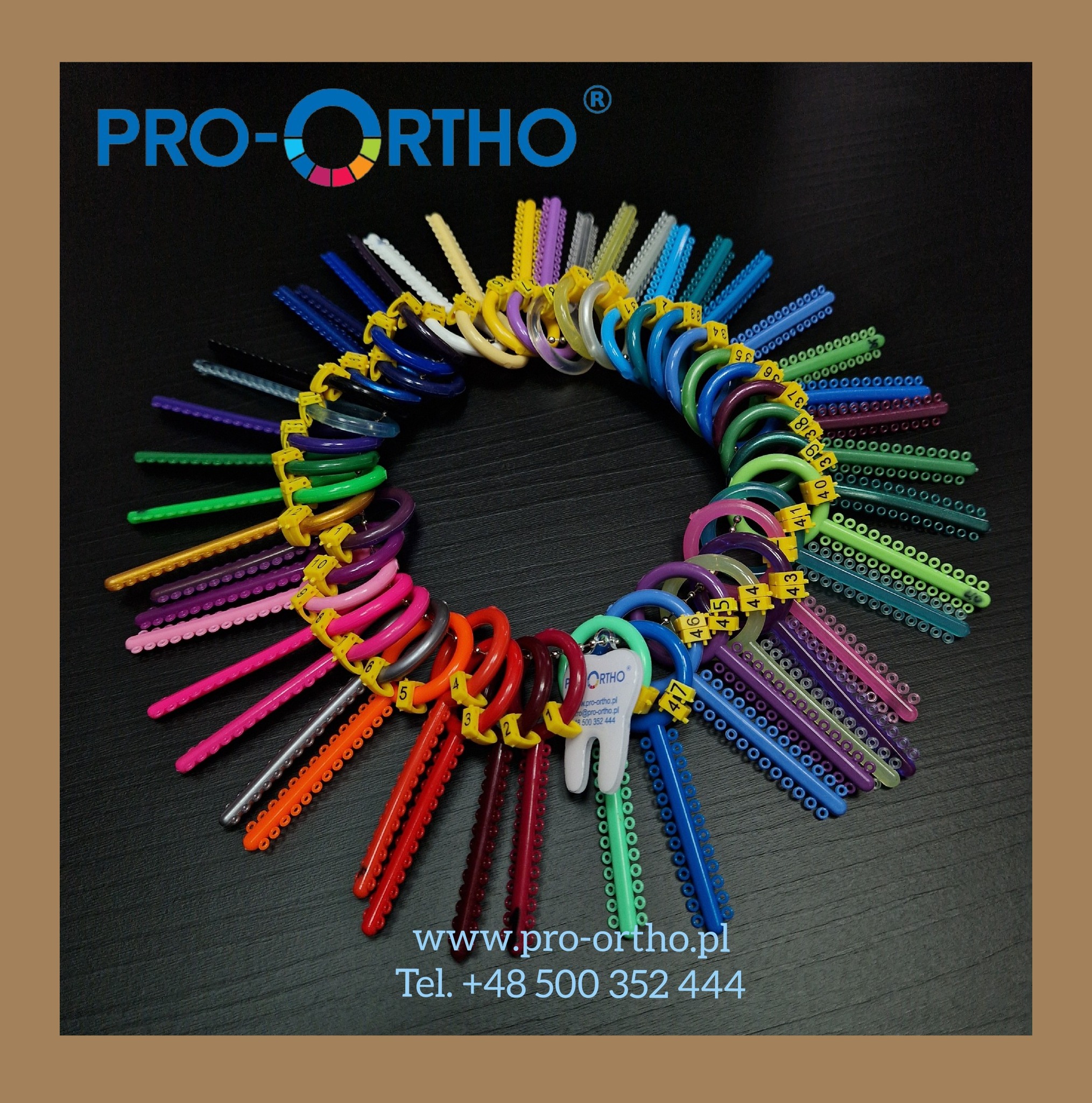 PRO-ORTHO | Czestochowa