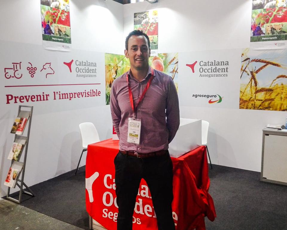 Jordi Masip, Agent d'Assegurances | Alcarras