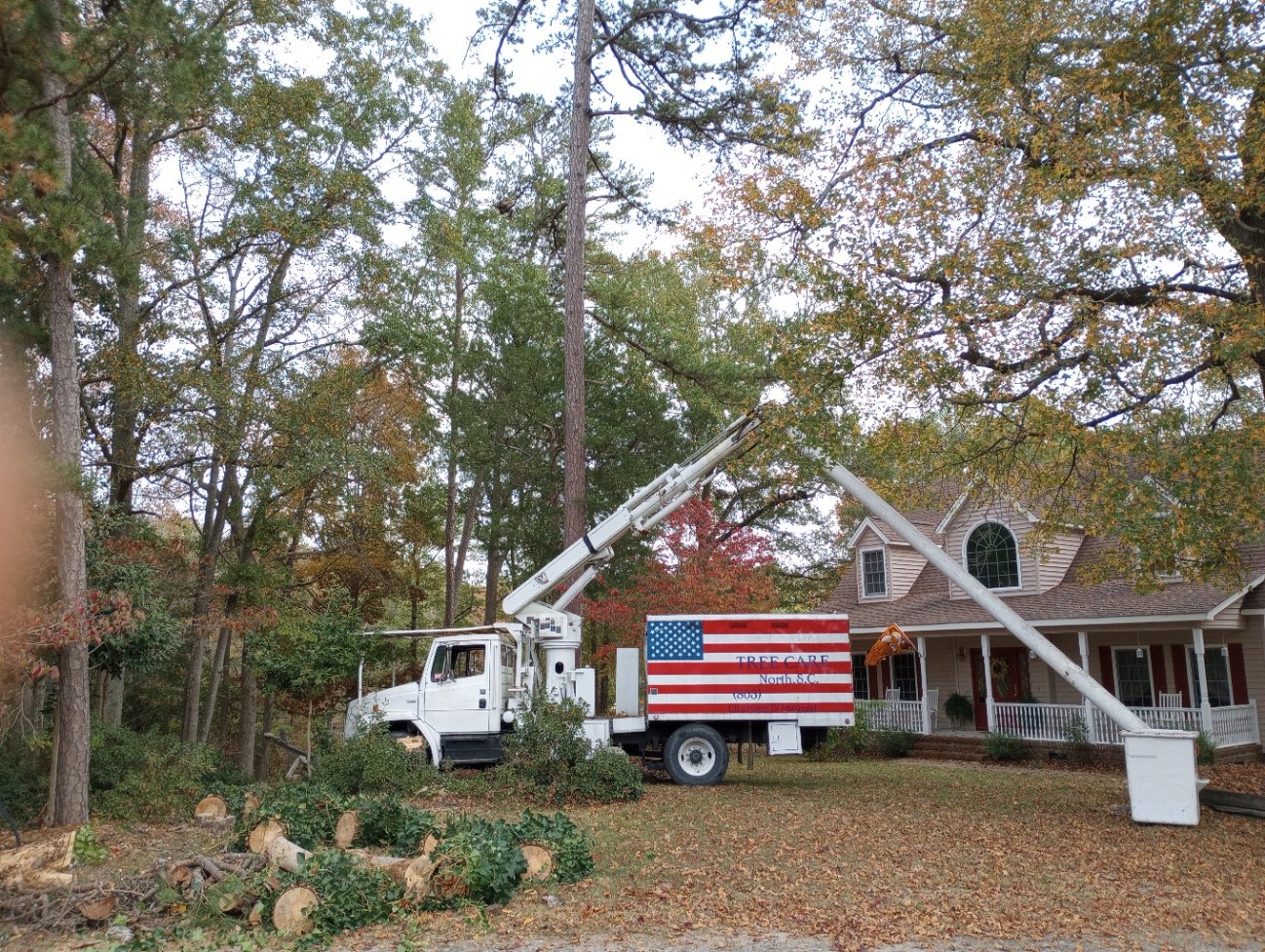 Before and after. Removal of a very... - Liberty Tree Service