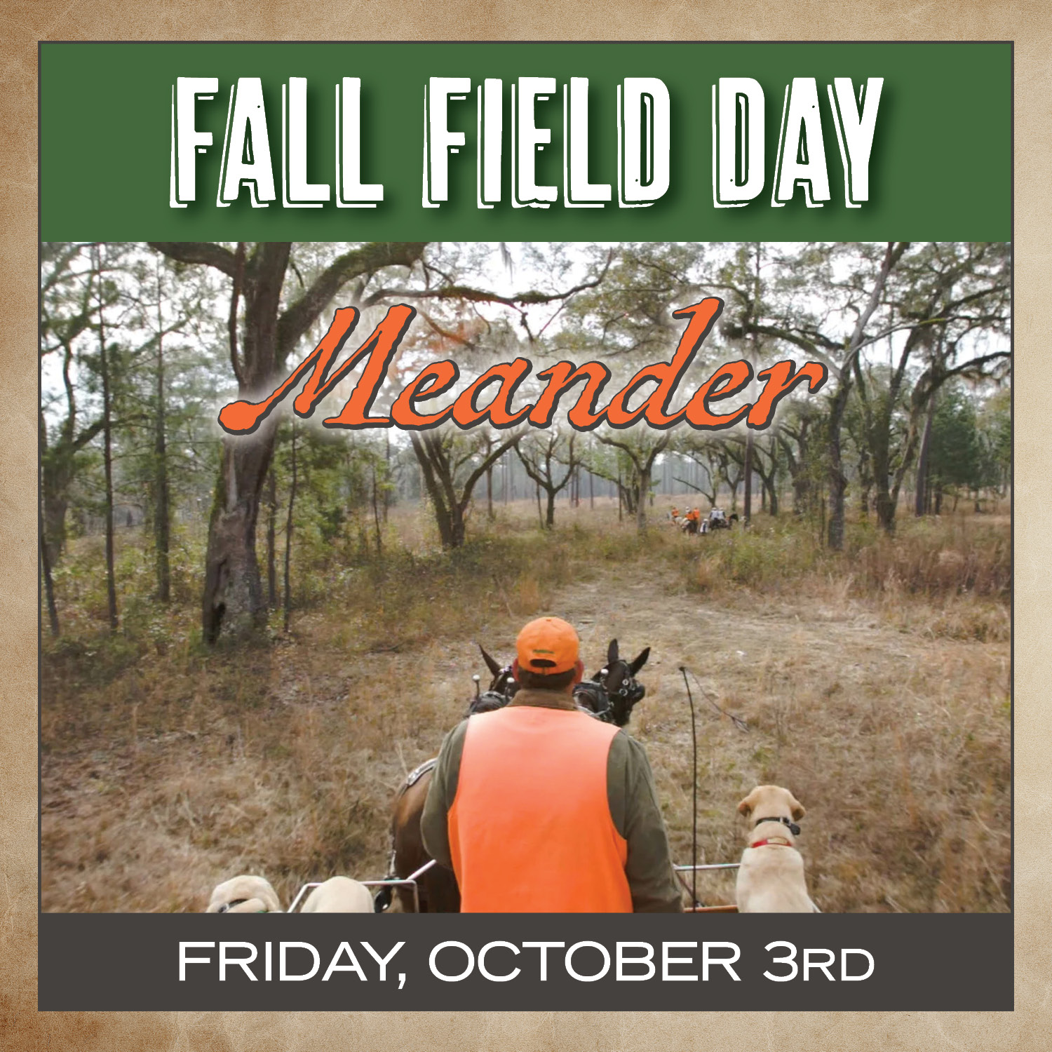 Red... - Tall Timbers, a Research Station & Land Conservancy | Facebook