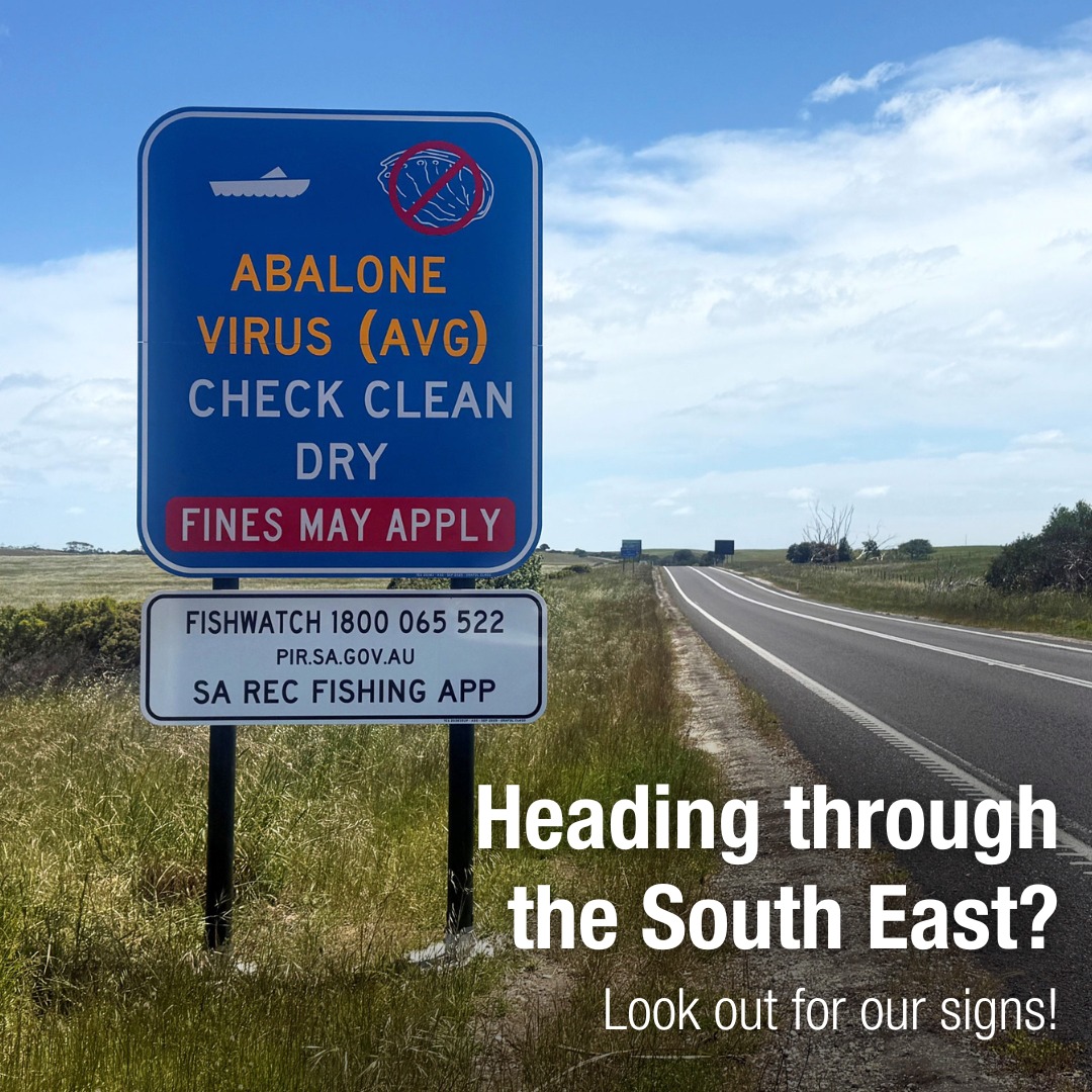 🚨 Heading... - Department of Primary Industries and Regions | Facebook