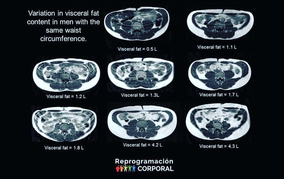 La medida de cintura de estas... - Reprogramacion Corporal | Facebook