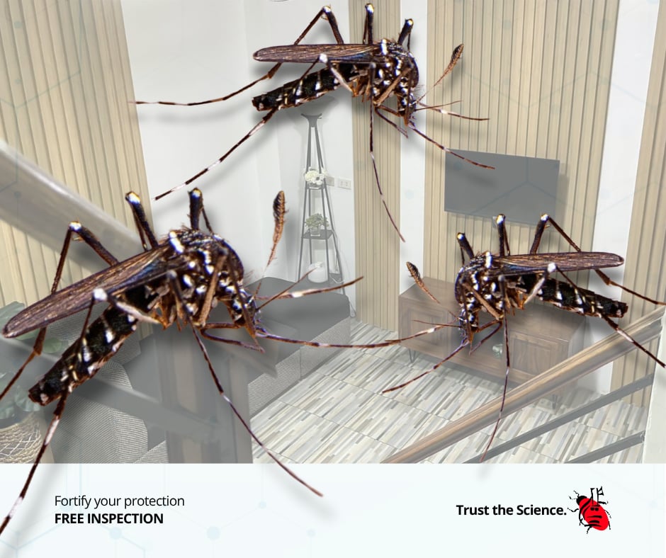 Pest - Mosquitoes buzzing around your yard or facility? These insects ...