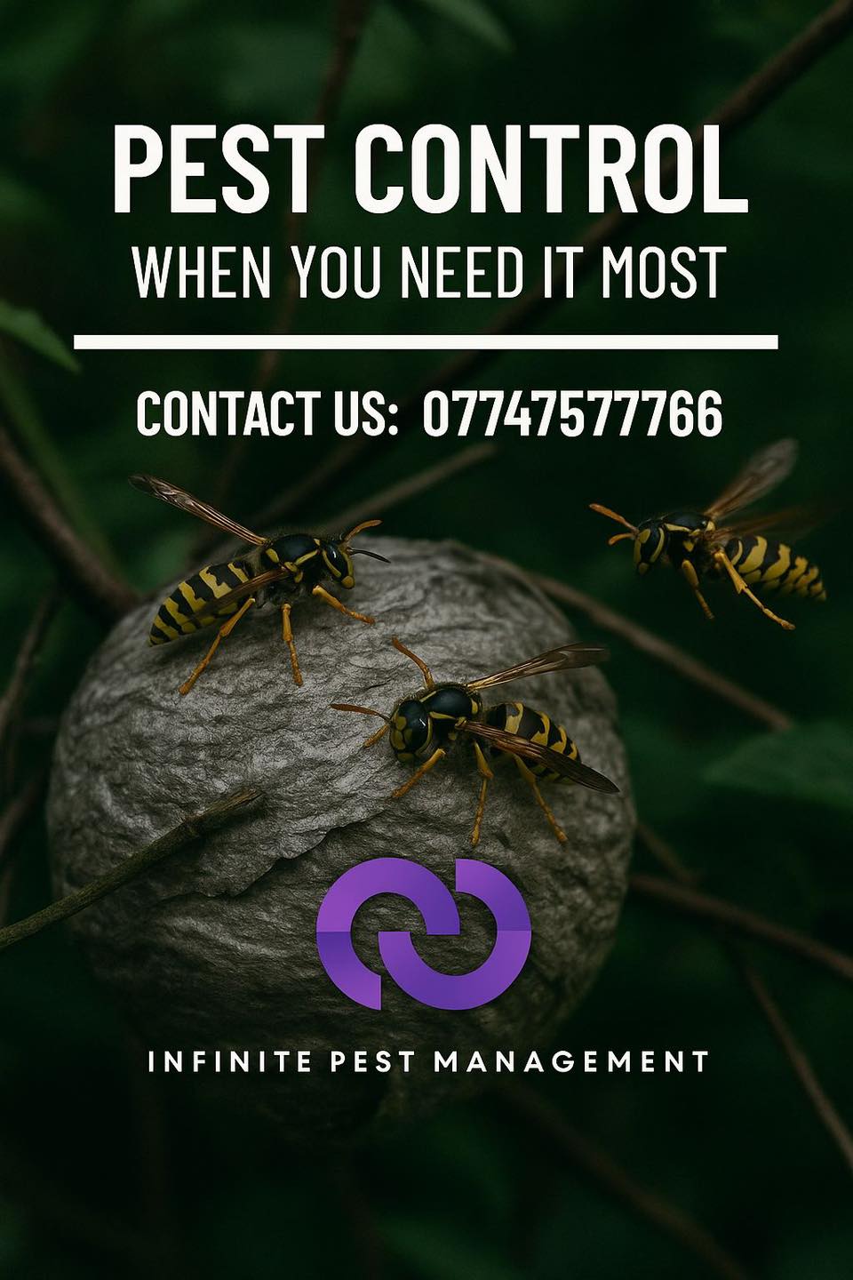 Infinite Pest Management | Birmingham