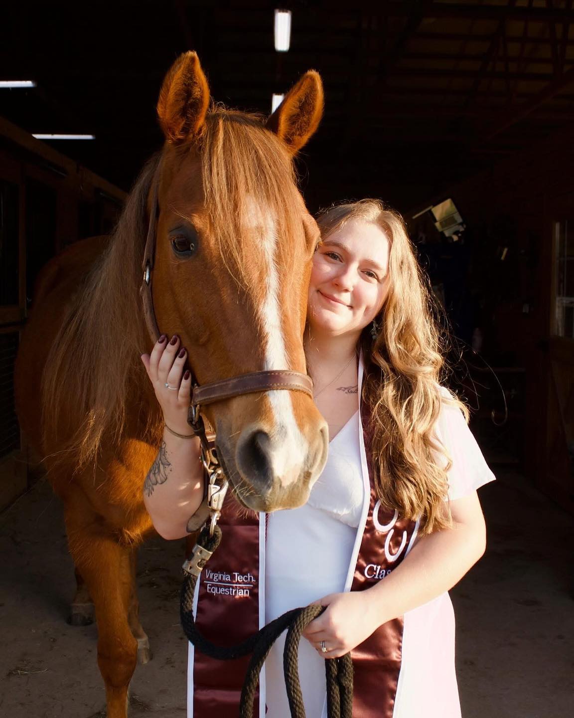 SVF Performance Horses | Riner VA