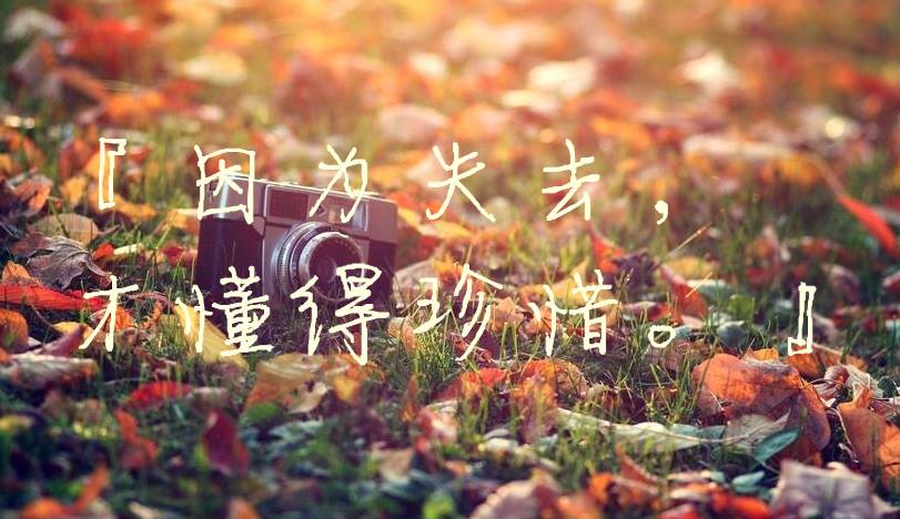 因為失去，才懂得珍惜