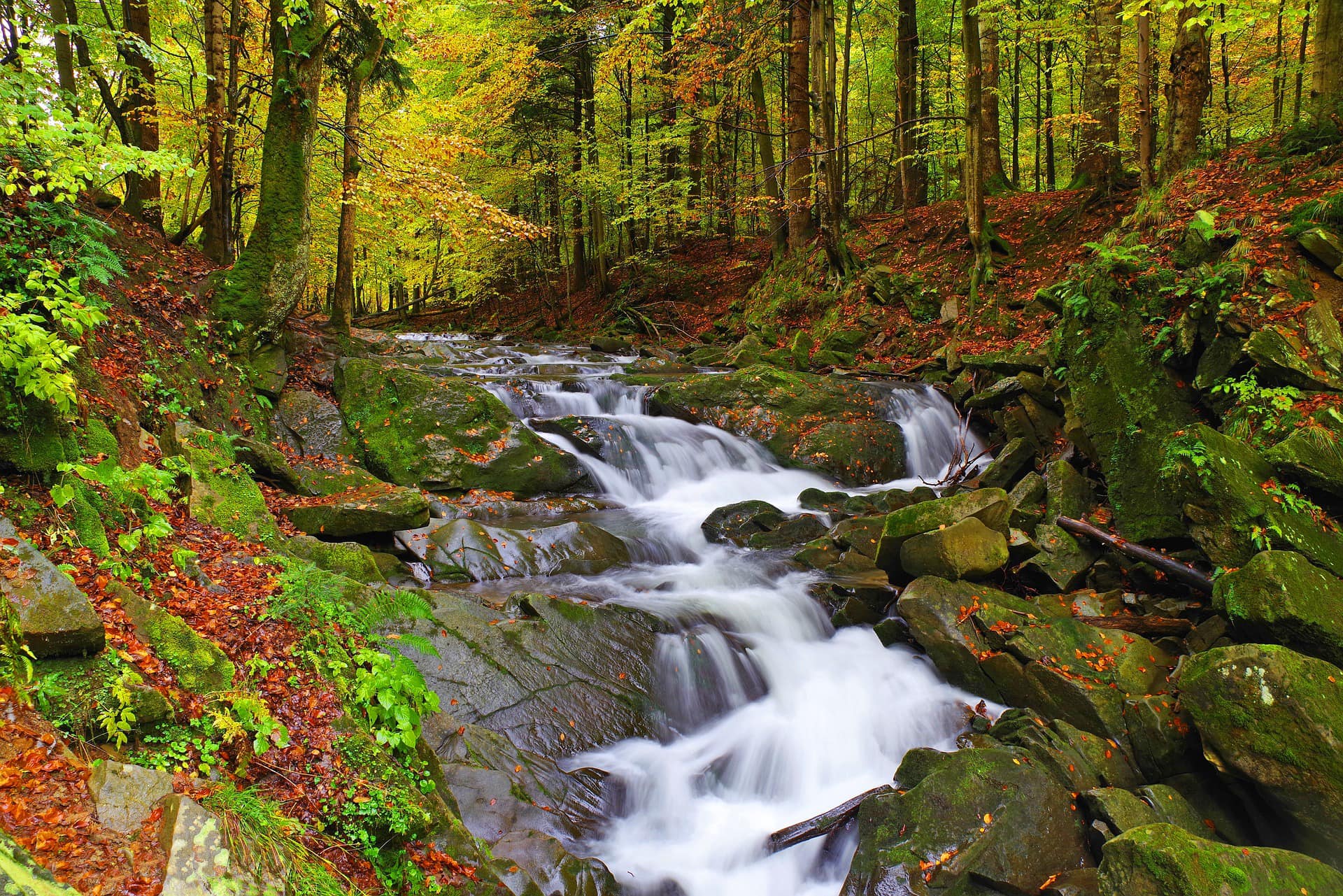 Moje Bieszczady
