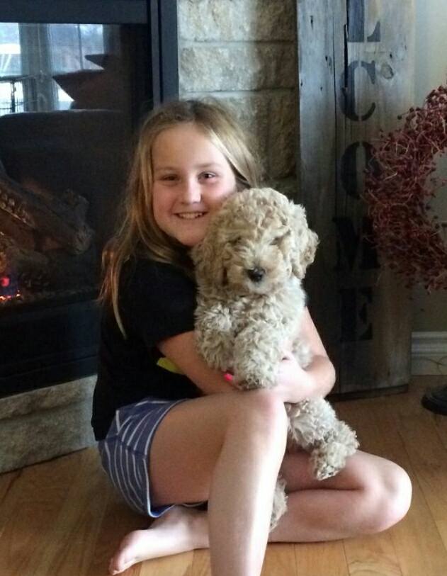 Meet Ruby and her person. Ruby... - Ponsonby Poodle Doodles