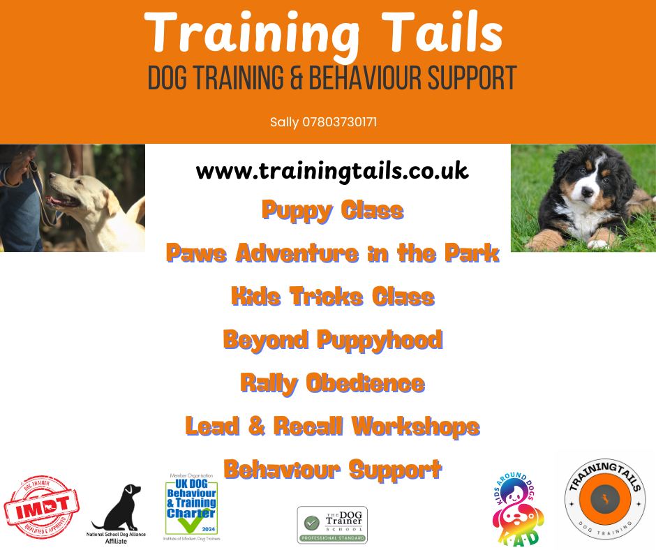 Training Tails - Classes to suit all needs and individual... | Facebook