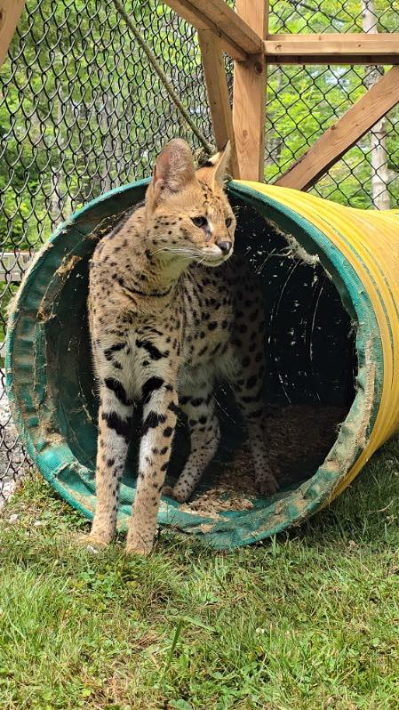 Two Rivers Wildlife Park | Mira NS