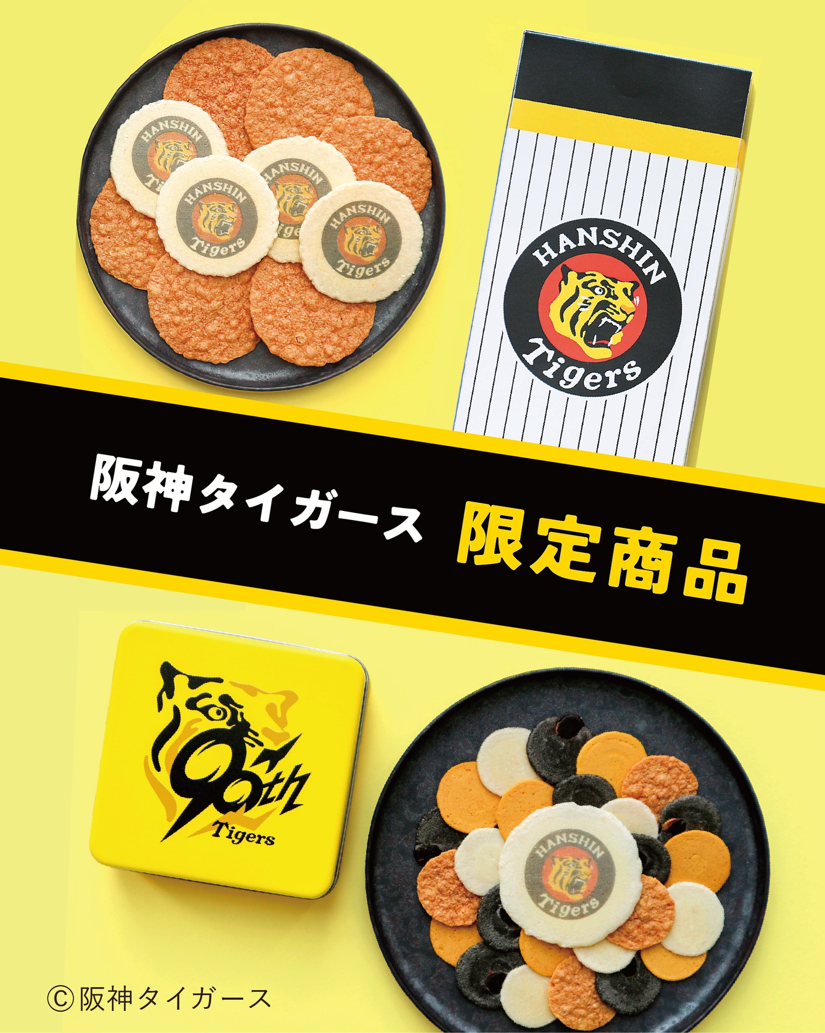 桂 新堂 株式 会社