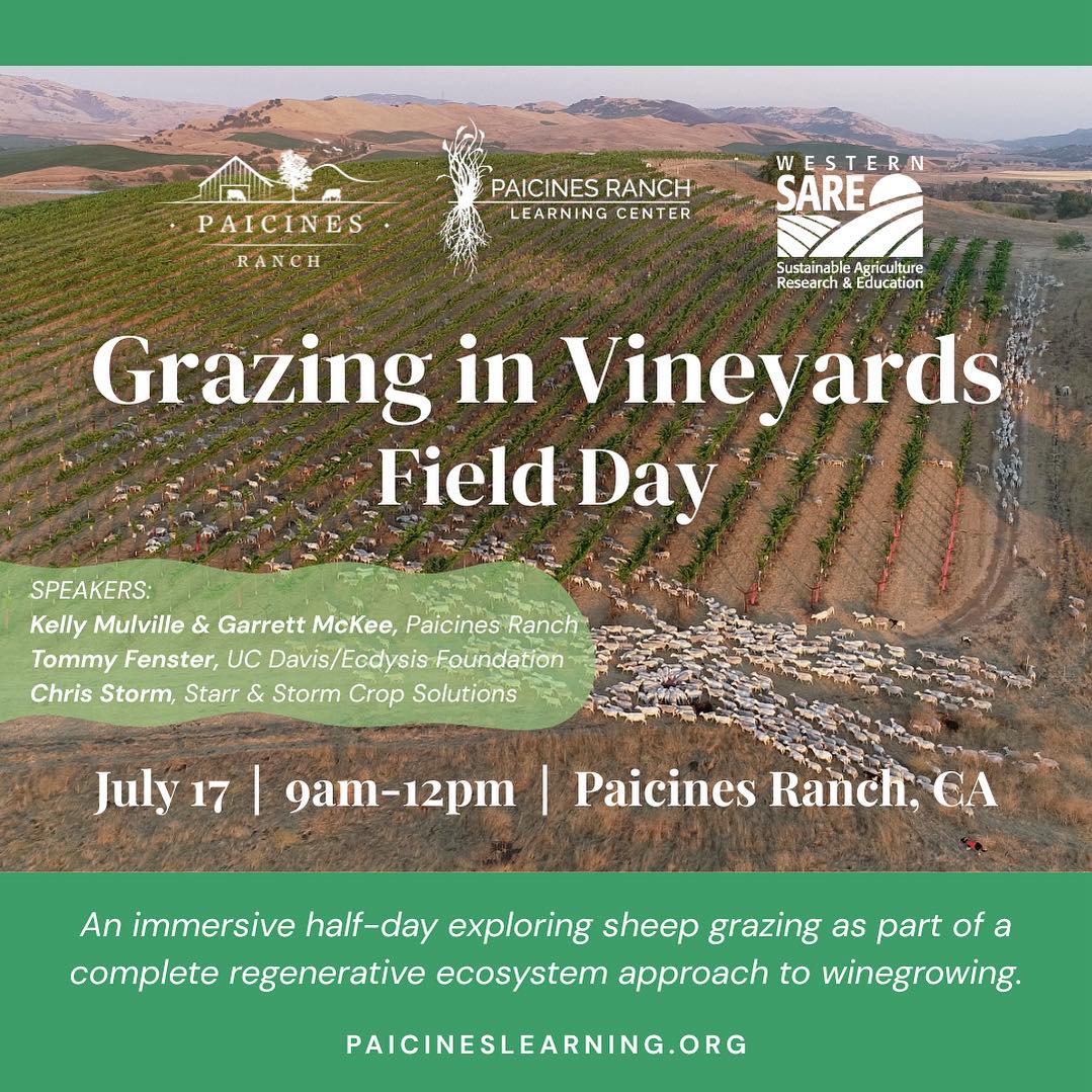 Paicines Ranch | Paicines CA