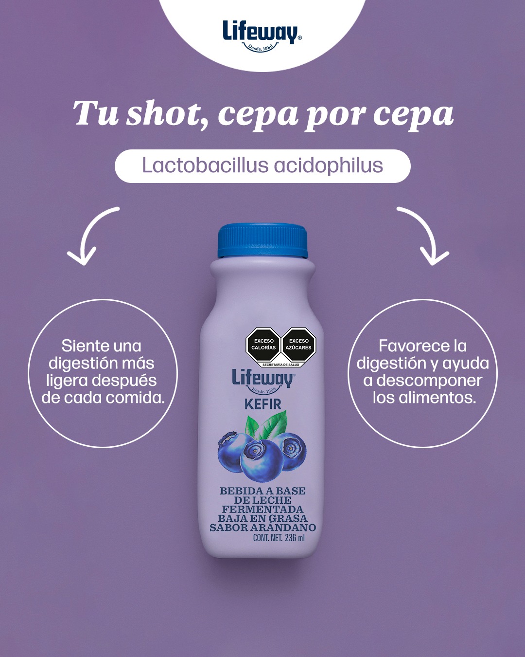 Lifeway Kéfir México - Día 4: Prepara una receta saludable. Ahora que ...