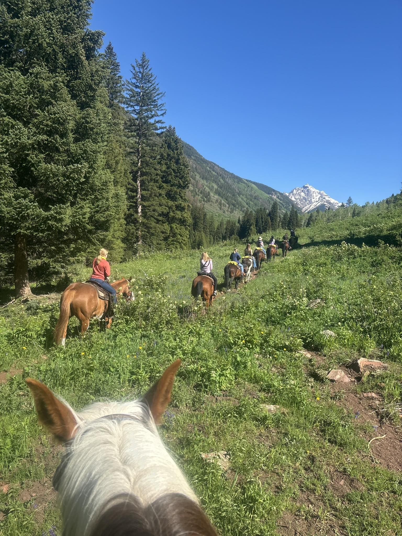 Maroon Bells Guide & Outfitters | Aspen CO