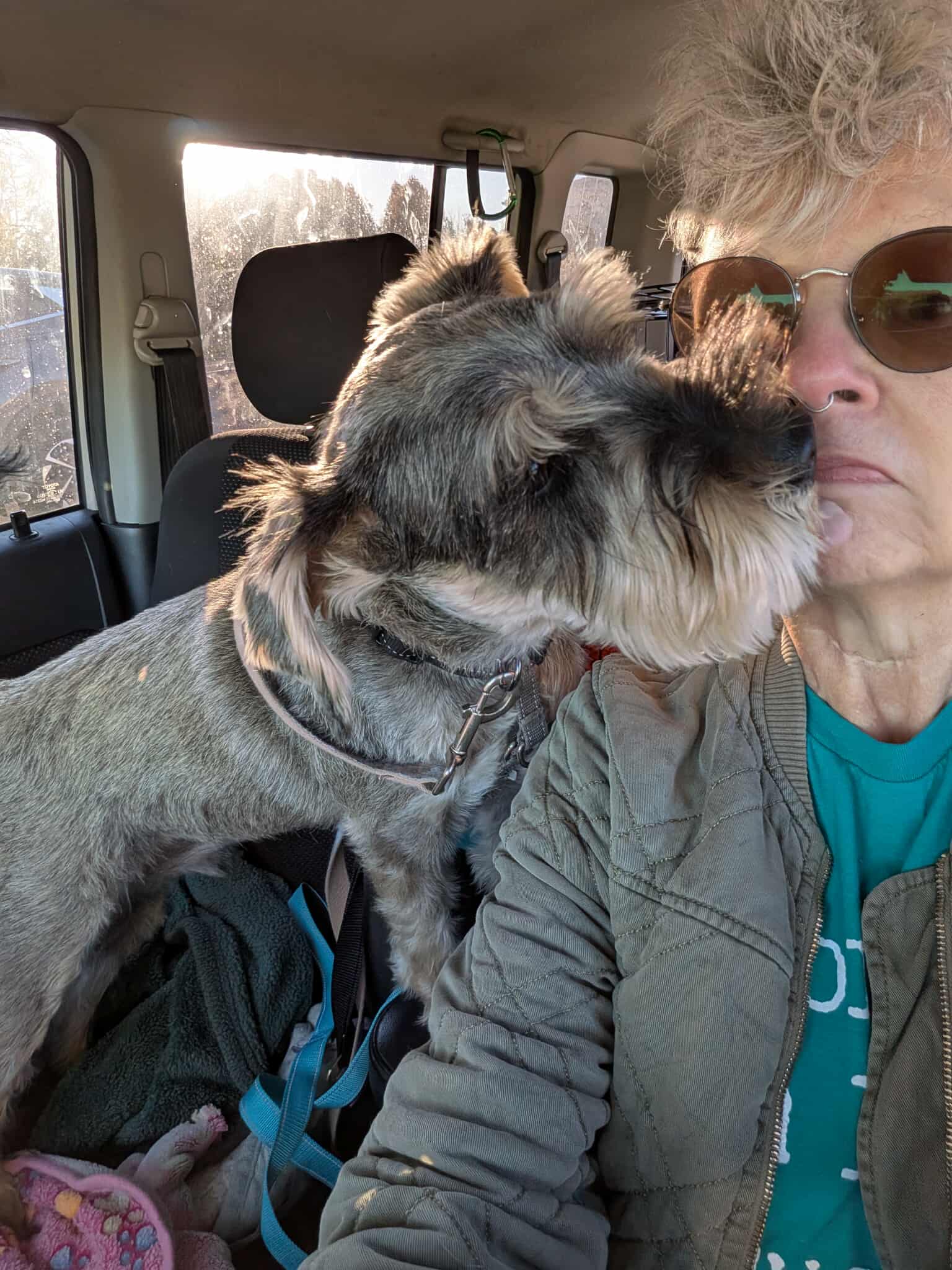 Many Paws Volunteer... - Many Paws Volunteer Transport Team