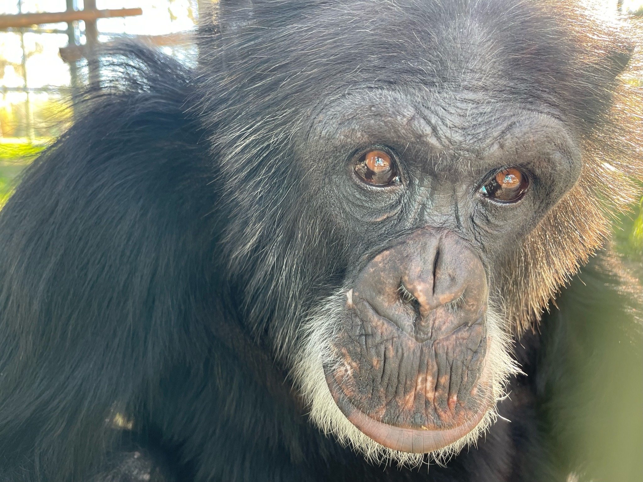 Center - We’re kicking off August with a BIG birthday! Happy 30th to ...