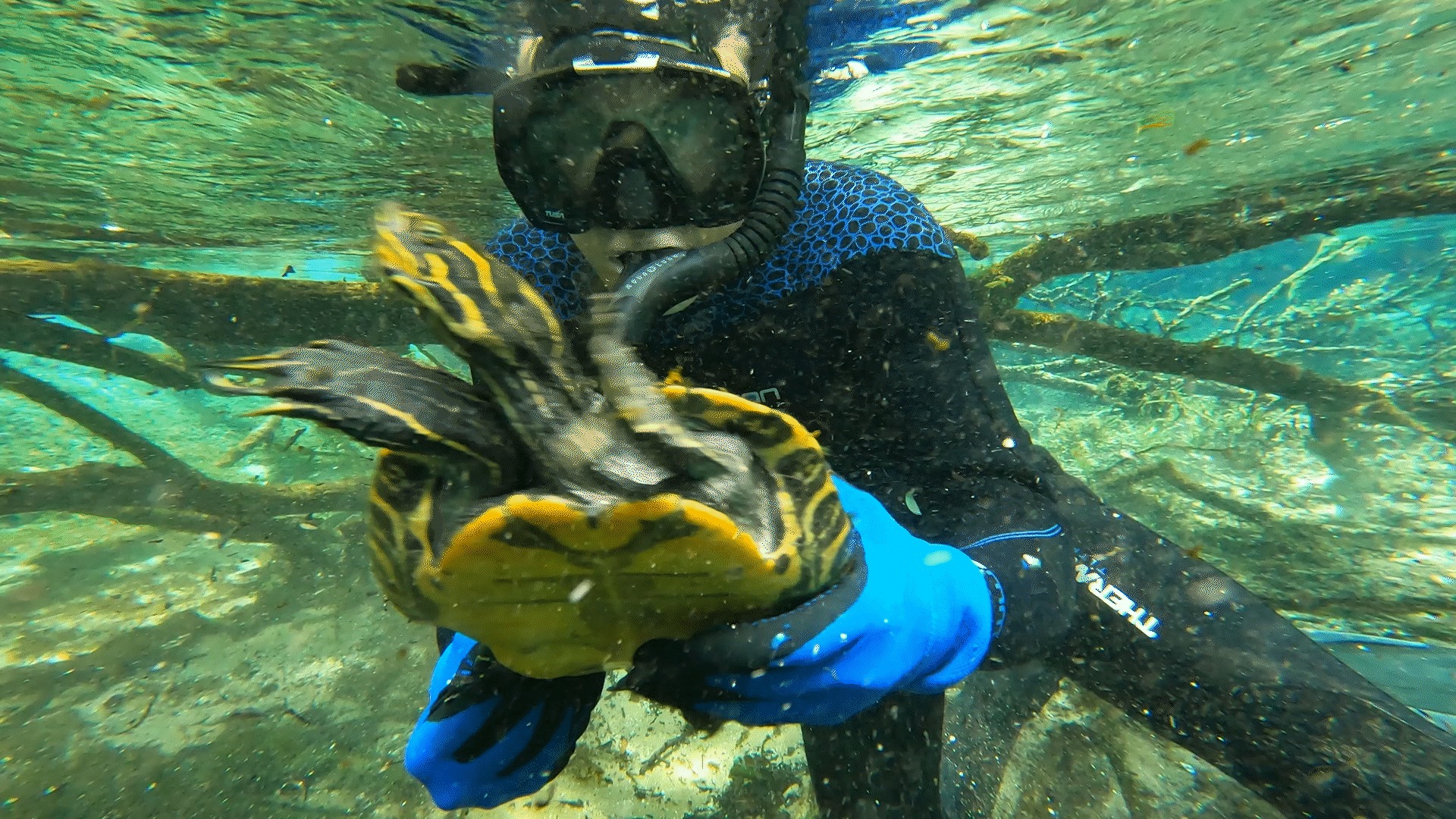 Santa - SF Biology Professor Jerry Johnston joins Jeff Corwin on ...