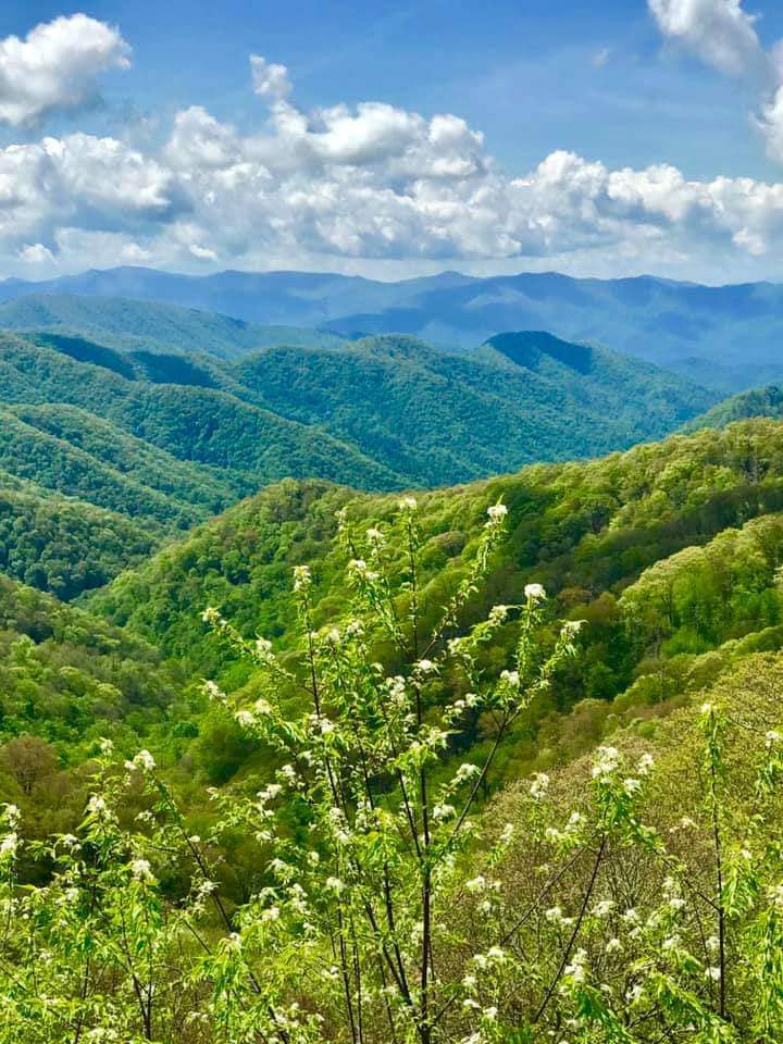 The Summit of Locust Ridge - Smokey Mountain Rental Cabins