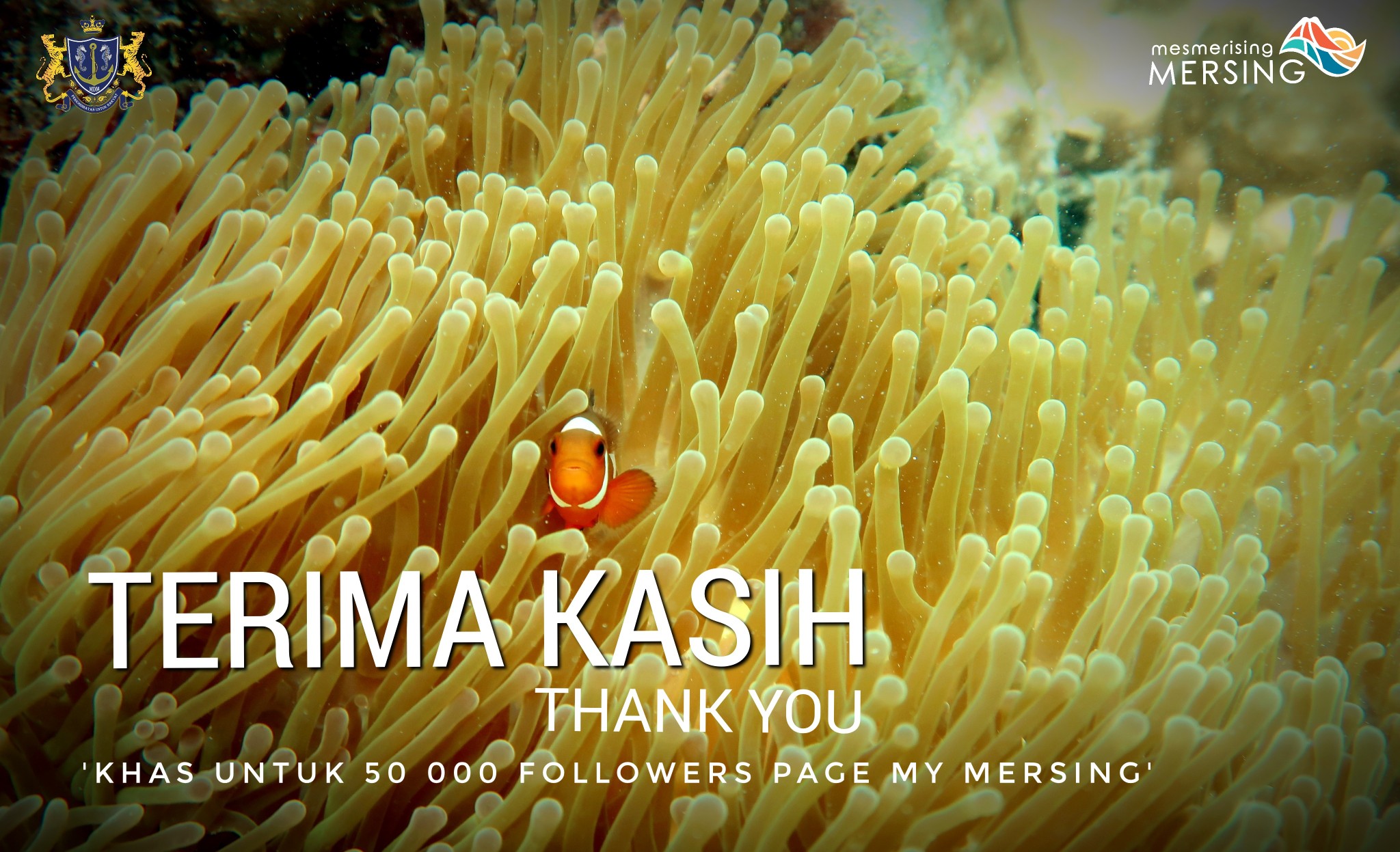 MY Mersing - Hari ini, laman Facebook rasmi Majlis Daerah... | Facebook