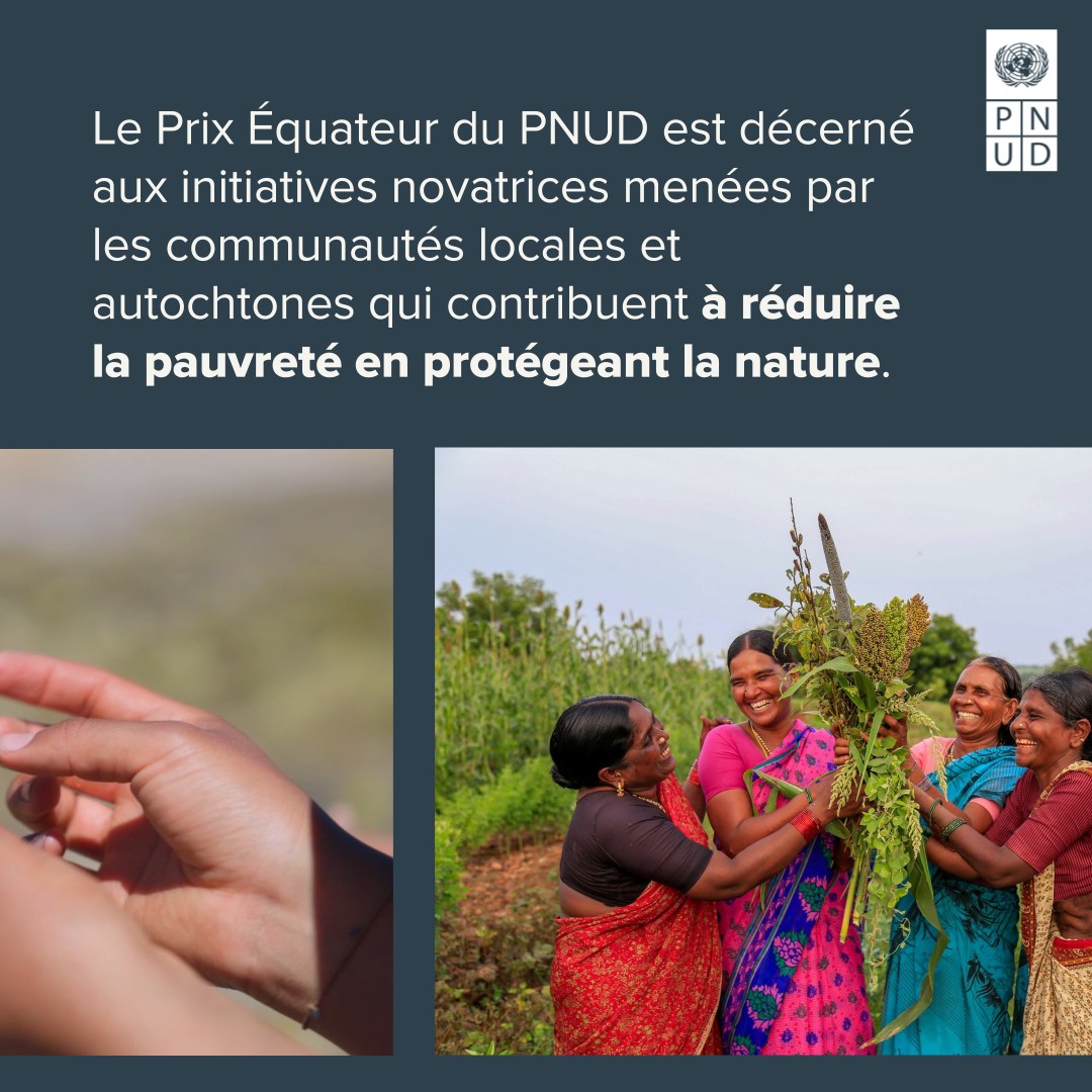 Programme des Nations Unies pour le développement - PNUD
