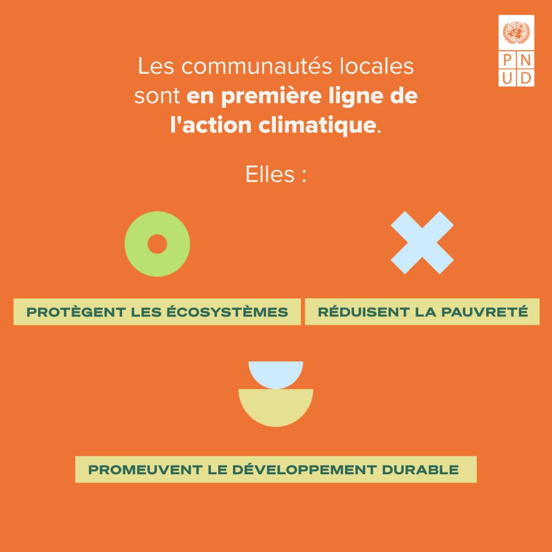 Programme des Nations Unies pour le développement - PNUD