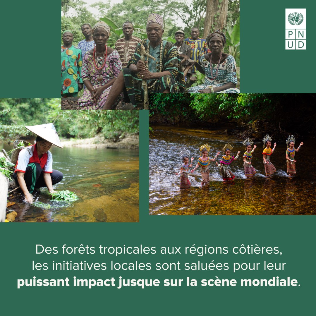 Programme des Nations Unies pour le développement - PNUD