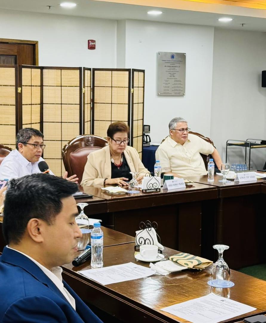 Philippine Chamber of Commerce and Industry - Ferdinand “Perry” Ferrer ...