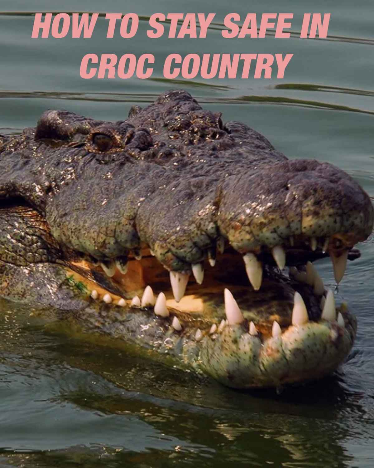 4X4 - 🐊 Planning a trip through croc country? Here’s how to stay safe ...