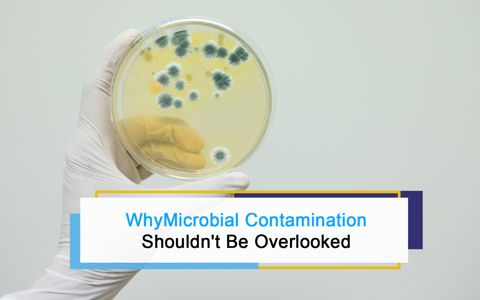 HydroKleen - 🦠 Why Microbial Contamination Shouldn't Be Overlooked 🌬️ ...