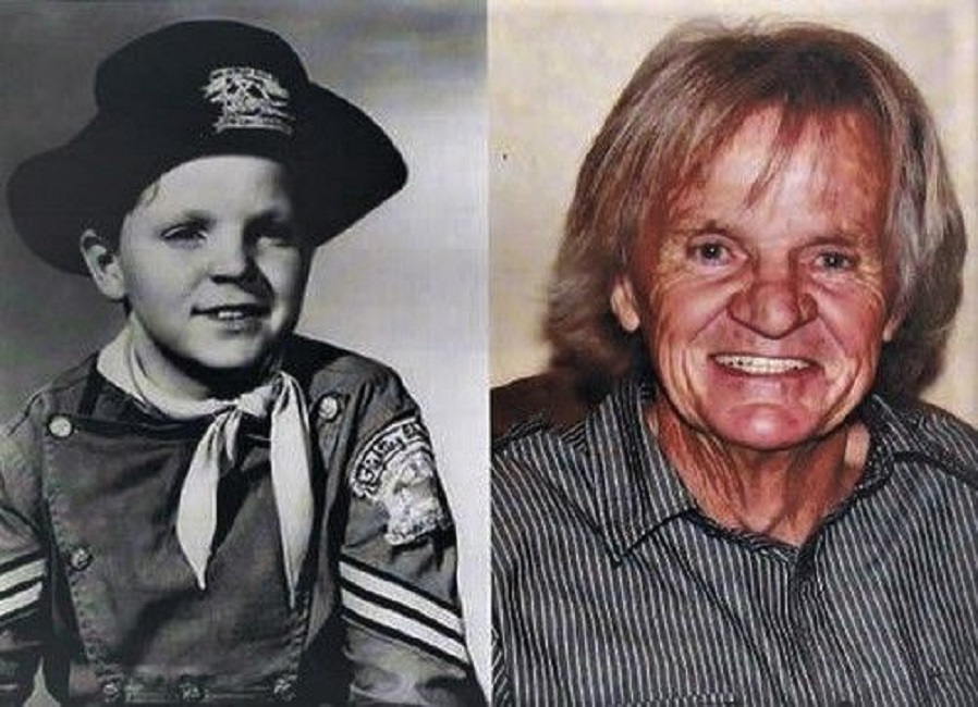 Old - Lee Aaker was an American child actor best known for his role as ...