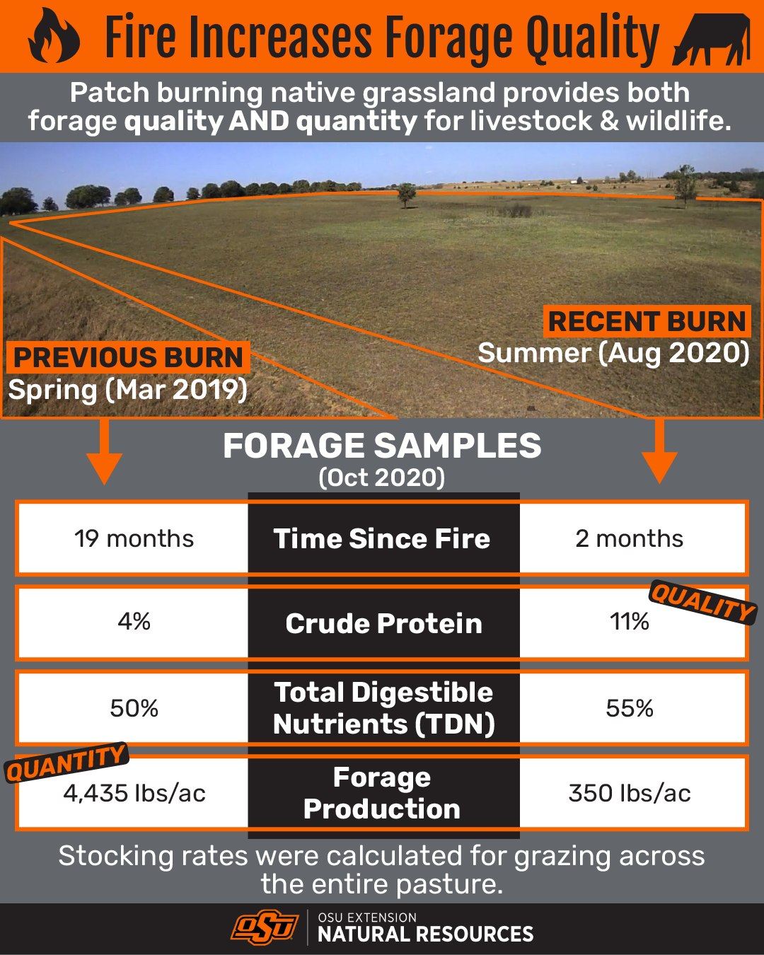 Tulsa - Fire Increases Forage Quality! Patch burning native grassland ...