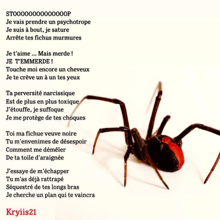 Divers Vers Ecriture Criture Citation Po Amour Ecrivain Citations Citationdujour Auteur Love Write Writer Writing Poetry Writersofinstagram Writingcommunity Writers Writerscommunity Poetrycommunity Poet Soul Gayparis Gaylyon