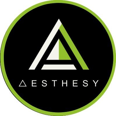 Your next favorite piece just landed. 🎨 Fresh drops from Aesthesy's New ...