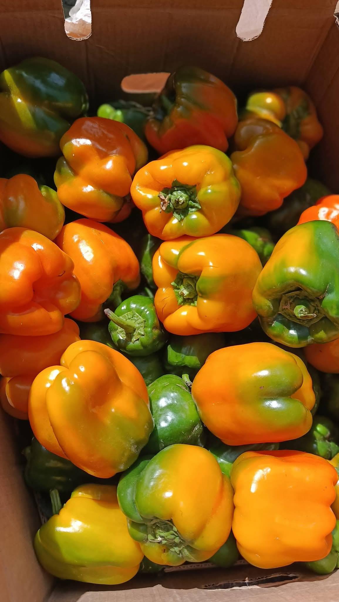 Preshy foods and veggies