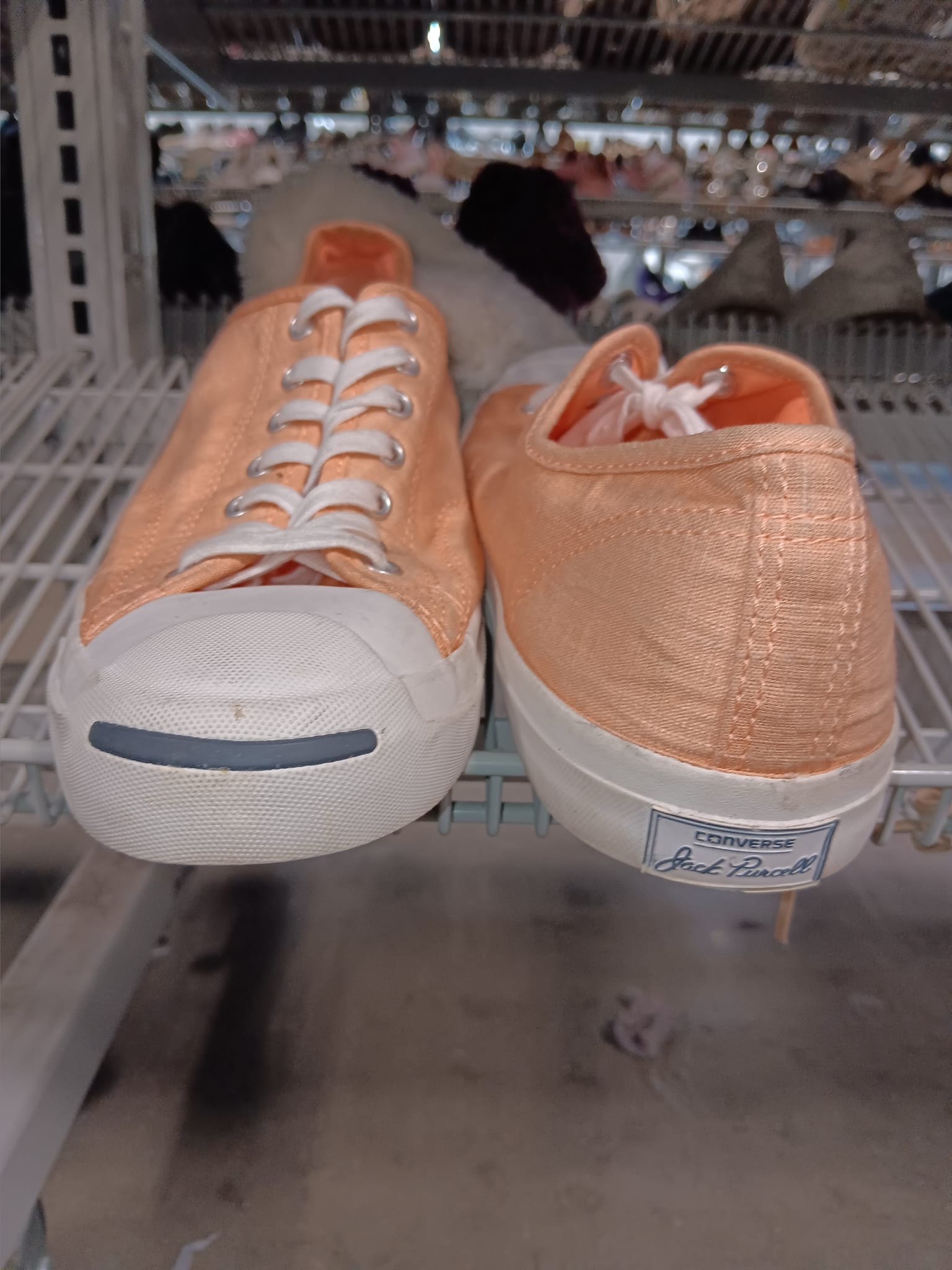 How many wore Converse Jack Purcells back in the day?