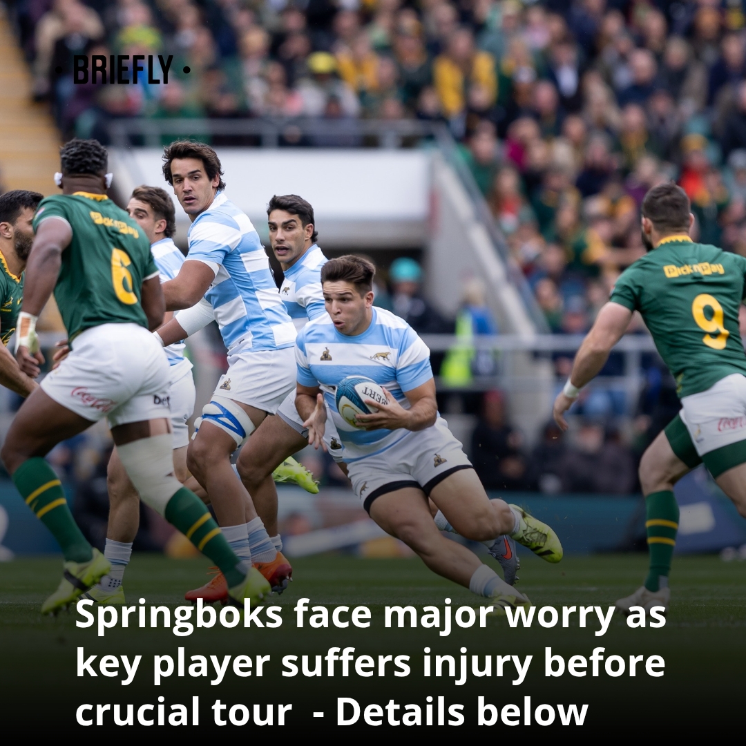 Briefly - A fresh injury scare has shaken the Springboks just days ...