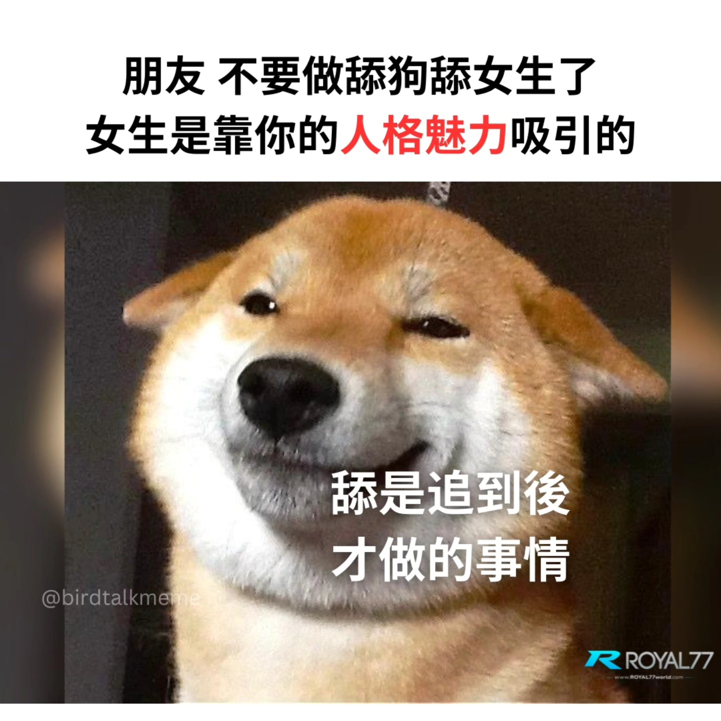 讲鸟话迷迷 - 可以做舔狗 可是要做追到後的那種 . IG: birdtalkmeme . . #梗 #梗圖 #梗图 #梗圖系列 #梗图系列 ...
