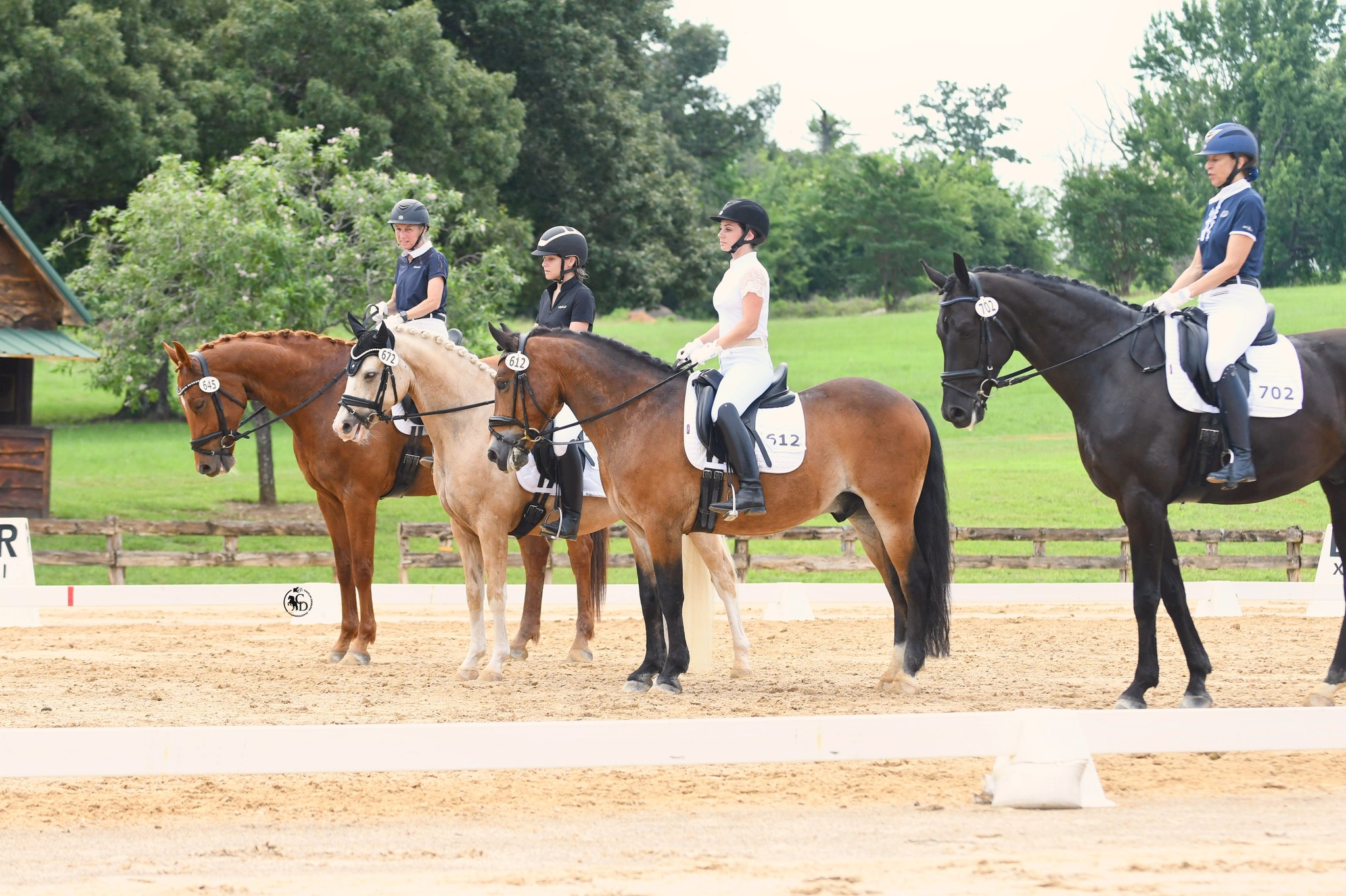 Dallas - 🔹‼ *Announcement!* ‼🔹 𝐌𝐚𝐫𝐜𝐡 𝟐𝟗-𝟑𝟎, 𝟐𝟎𝟐𝟓 The Dallas Dressage ...