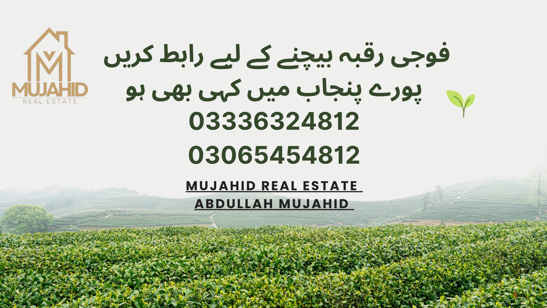 Mujahid Real Estate | Harunabad