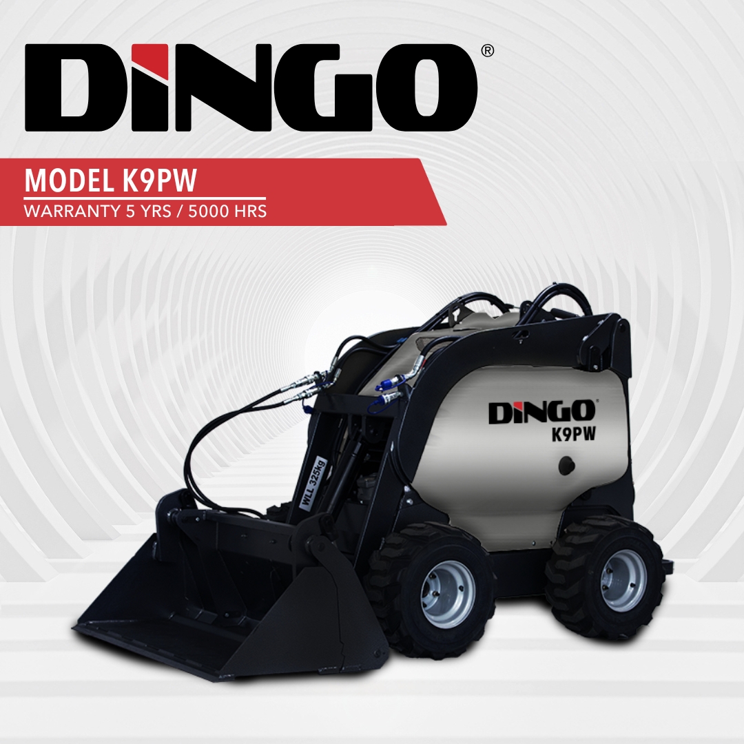 Dingo Australia | Beenleigh QLD