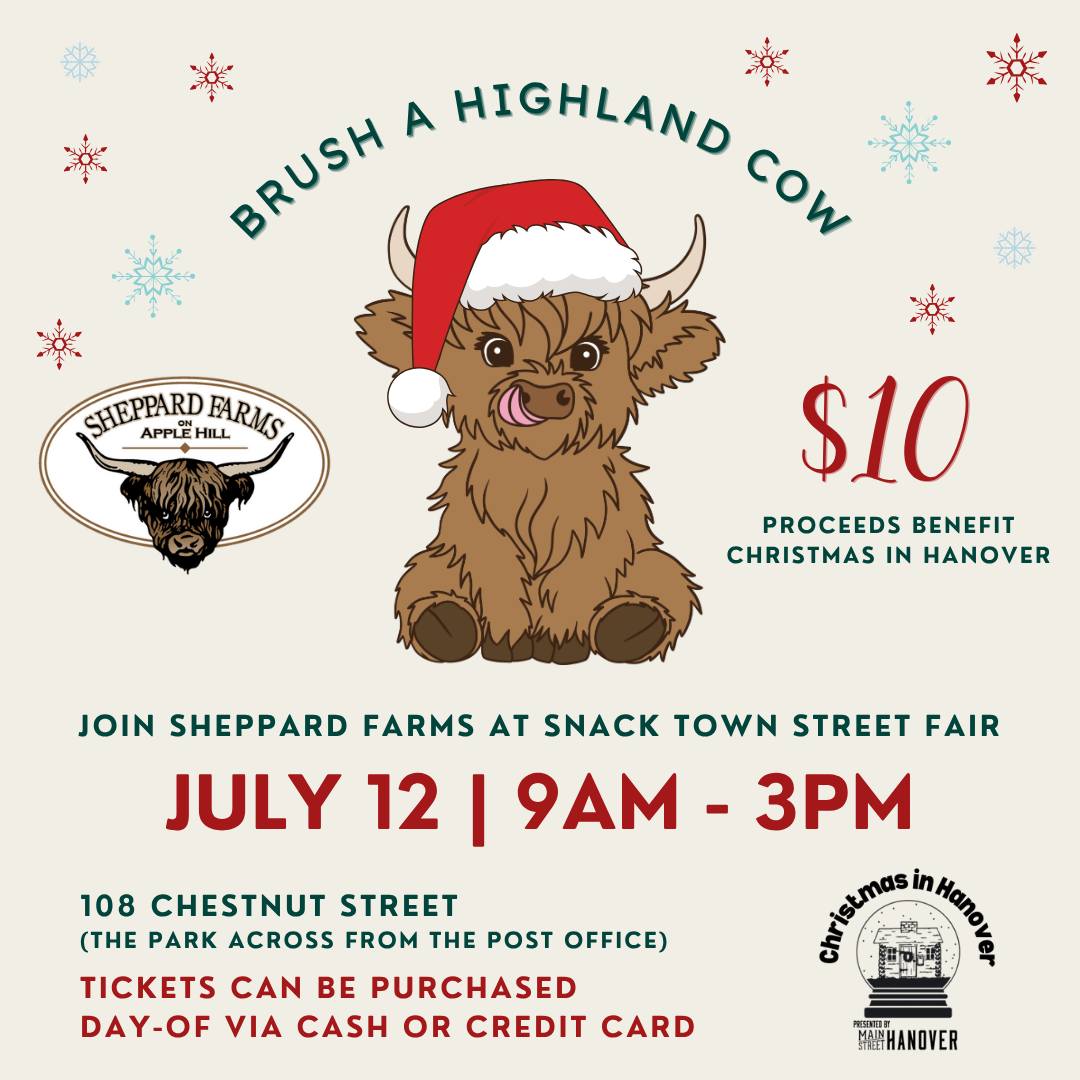 Main - 🐮 BRUSH A HIGHLAND COW at Snack Town Street Fair! Ever wanted to ...