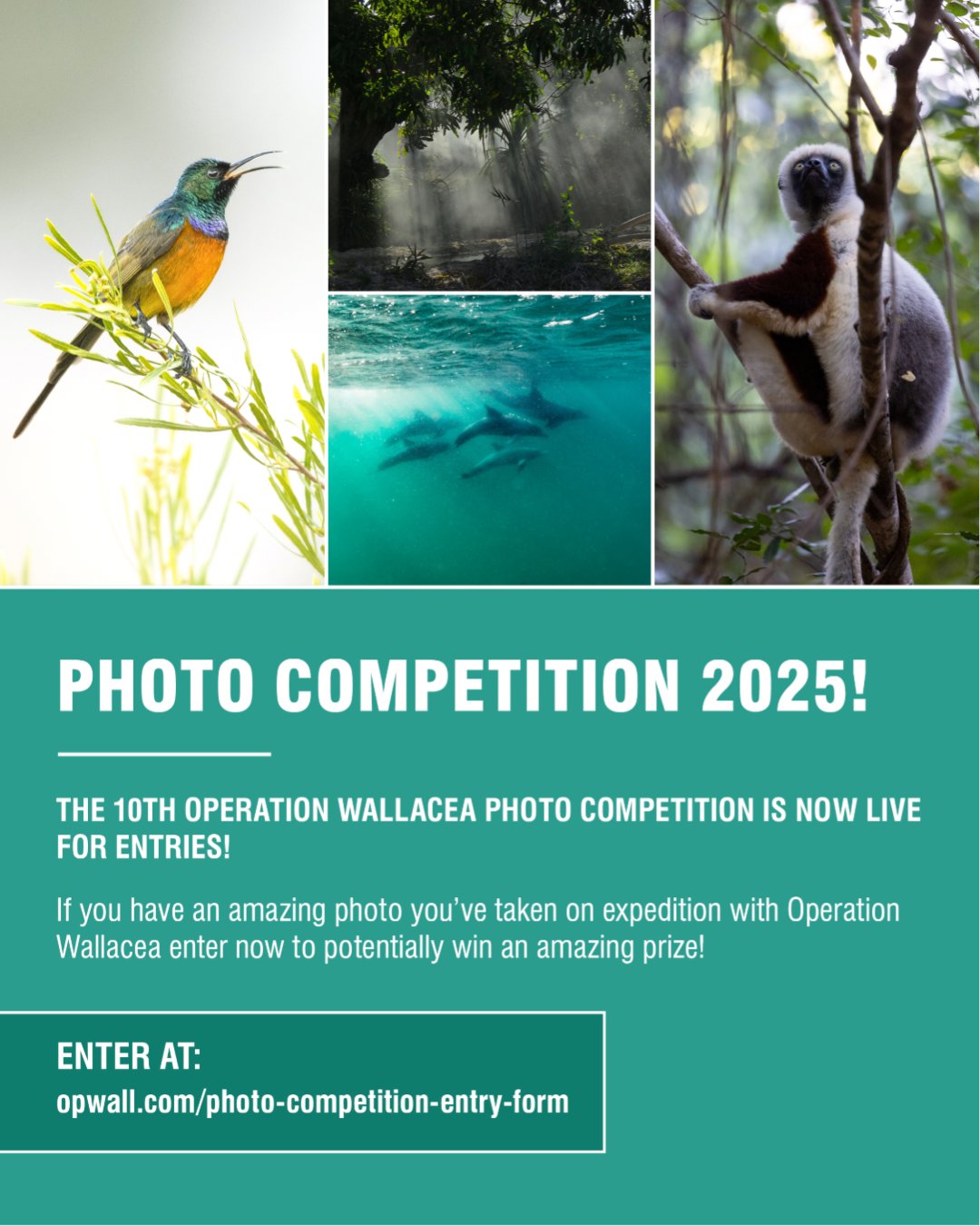 Operation - We're so happy to announce the Opwall Photo Competition ...