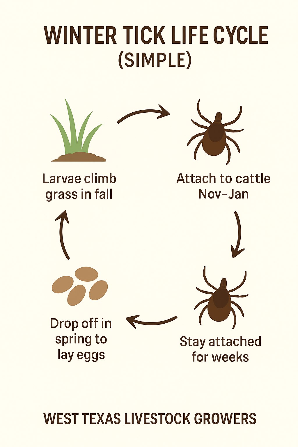 West - Ticks don’t take the winter off — they’re just playing the long ...