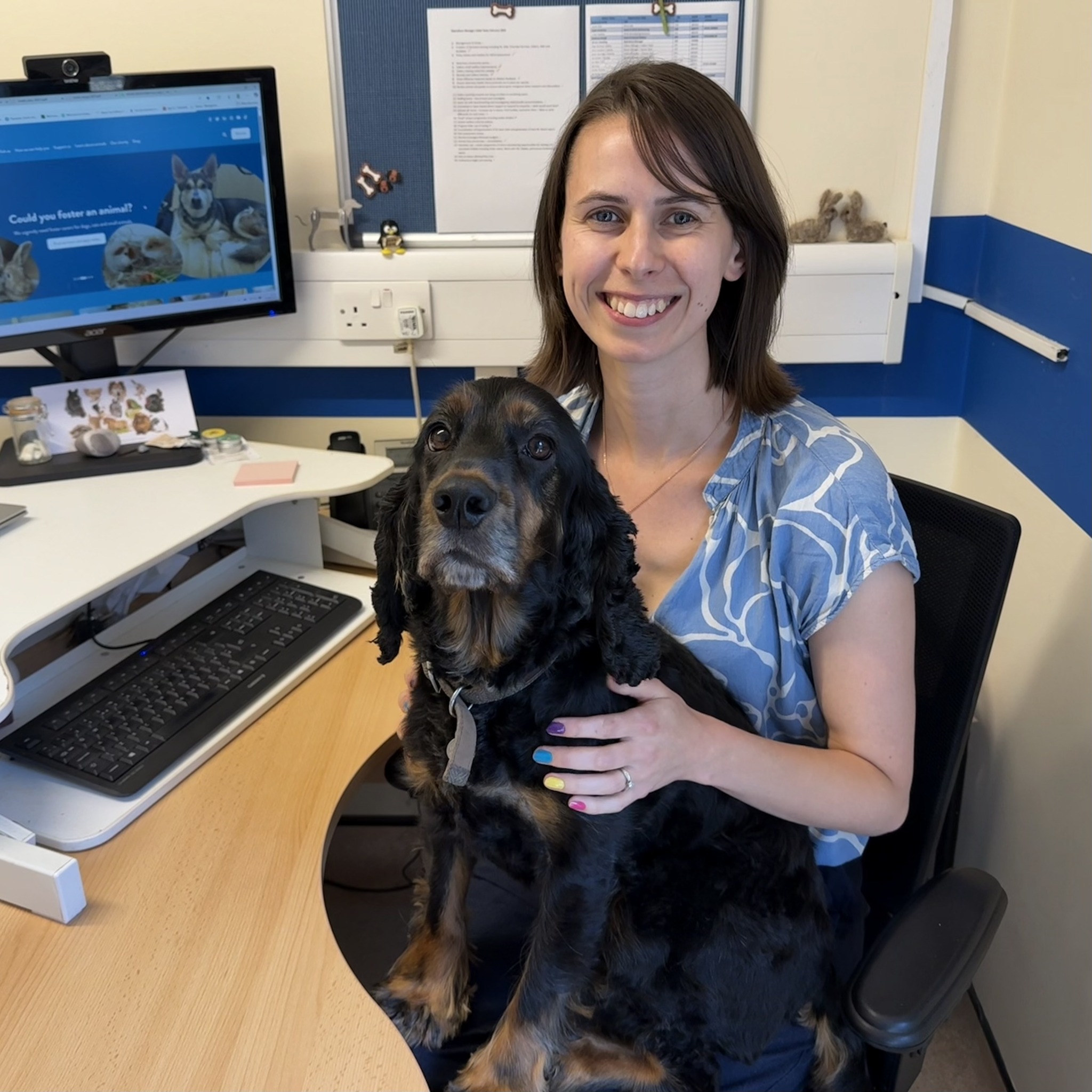 Raystede Centre for Animal Welfare | Lewes