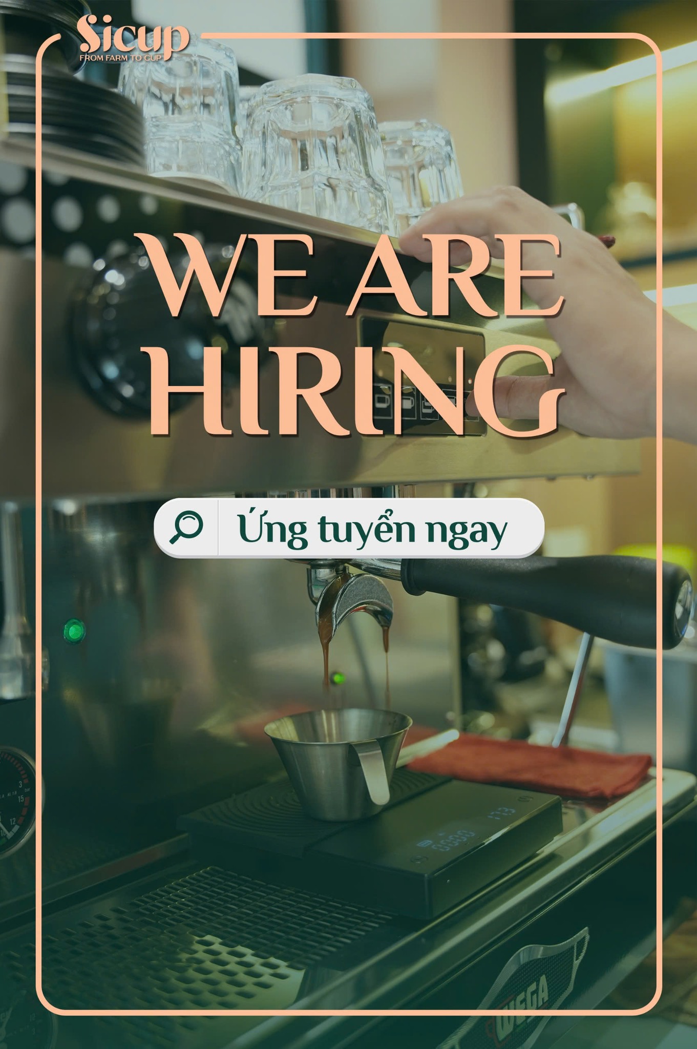 Sicup - [TUYỂN DỤNG] SICUP TUYỂN DỤNG NHÂN SỰ KHỐI CỬA... | Facebook
