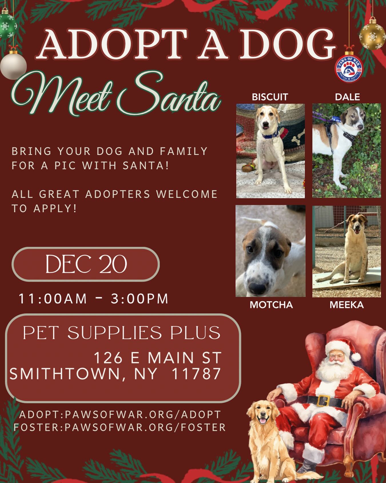 Paws - 🎅🐾 ADOPT A DOG & MEET SANTA 🐾🎅 Looking for a little holiday ...