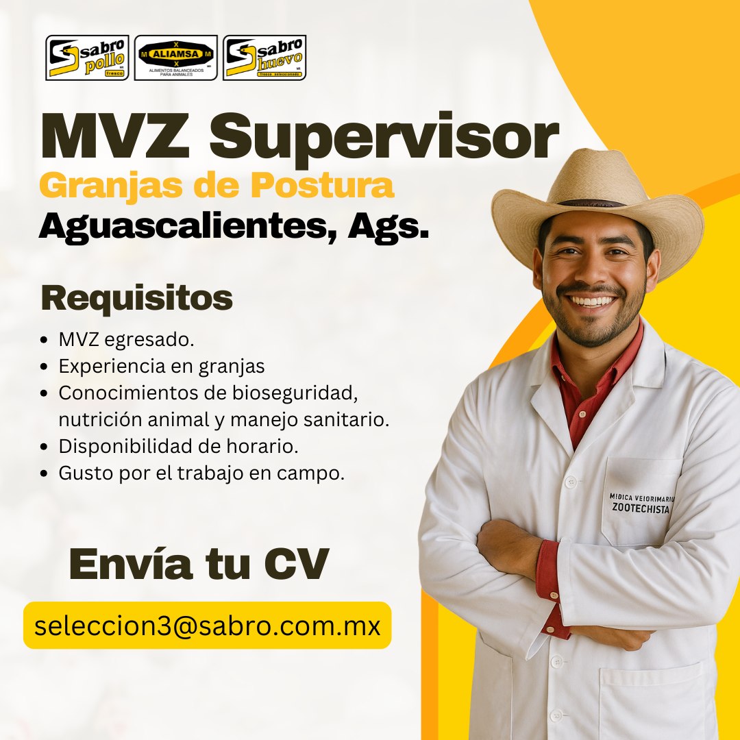 Bolsa de Trabajo Sabro | Aguascalientes