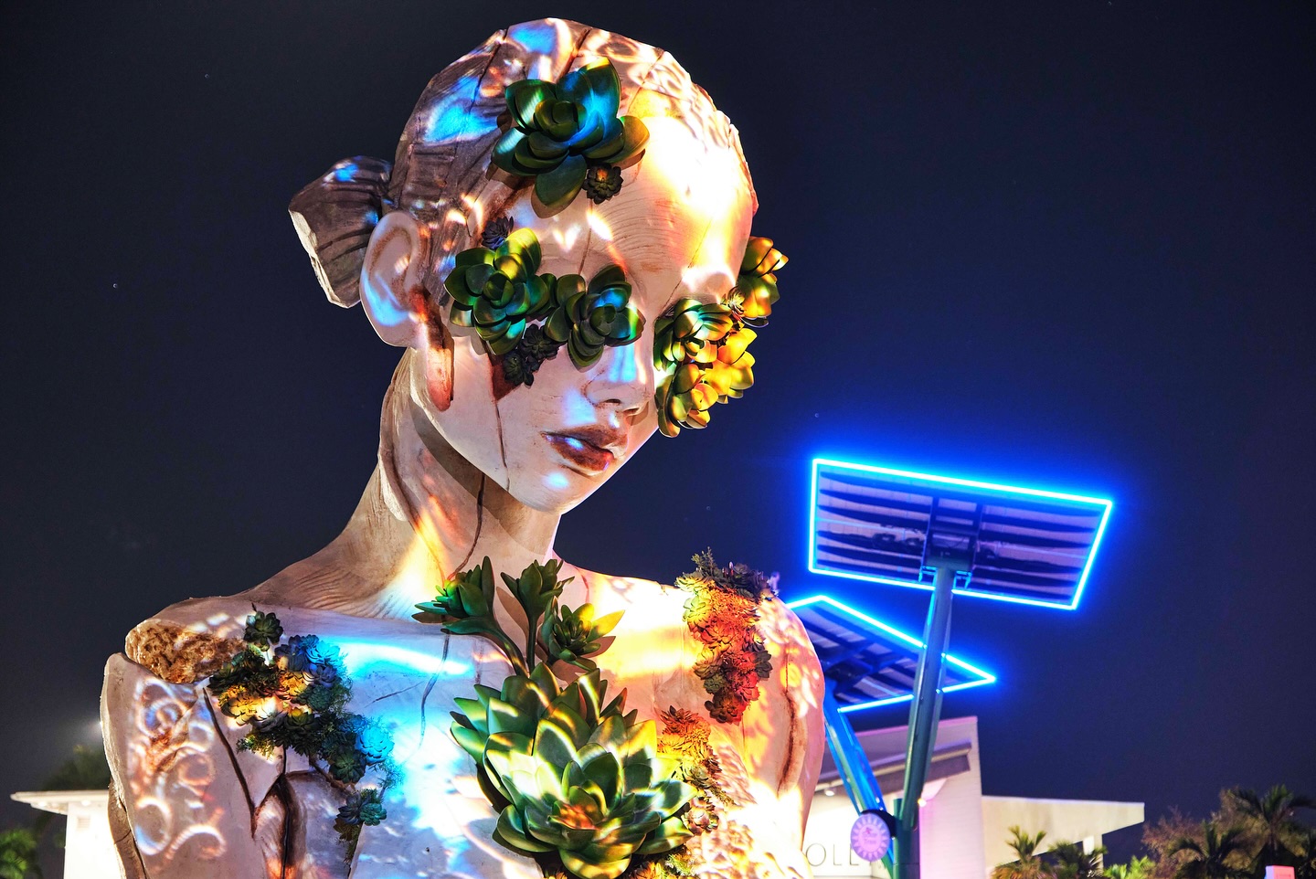 Aeonium light installation at Hollywood ArtsPark