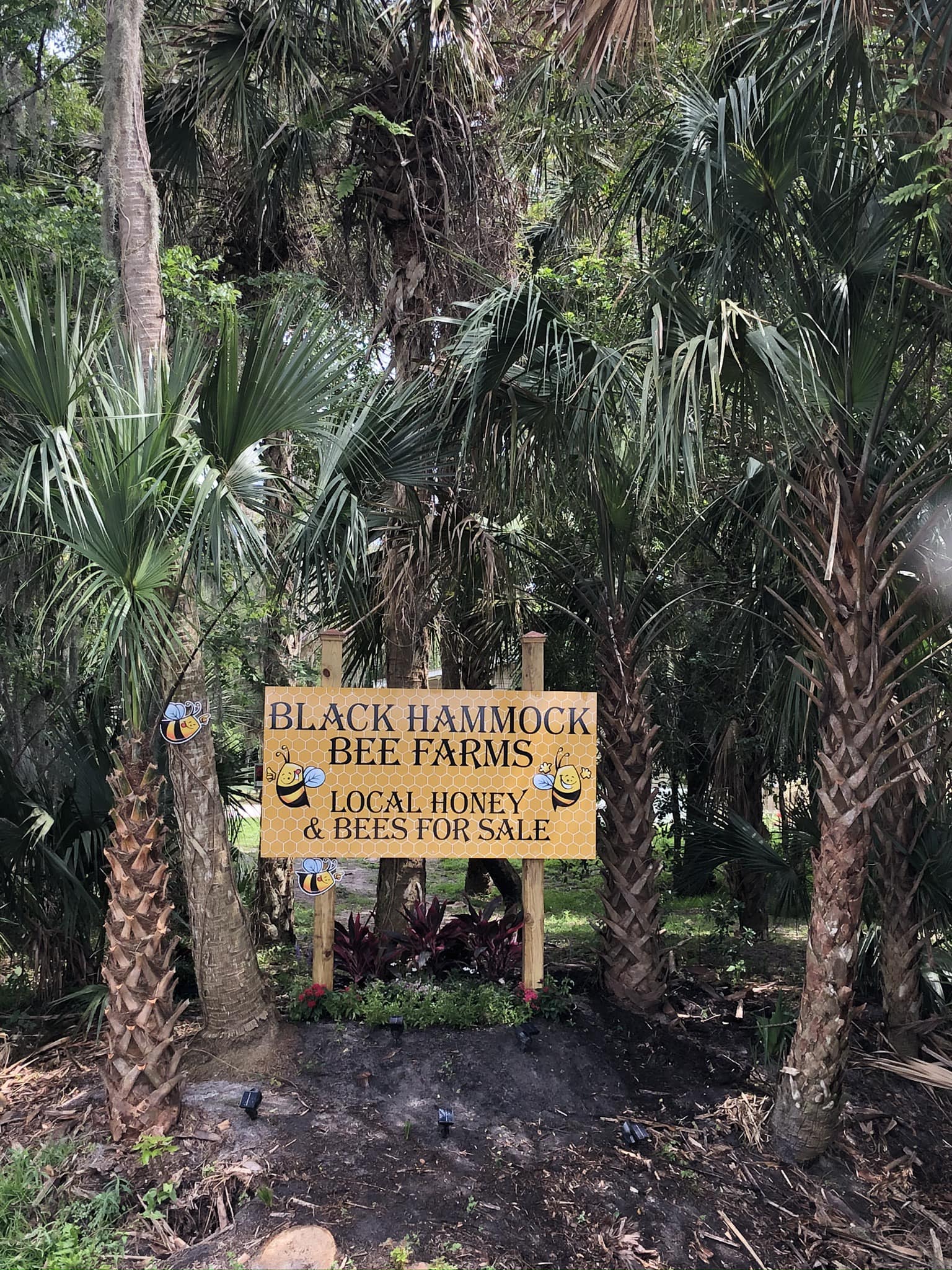 Black Hammock Bee Farms | Oviedo FL